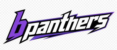 bpanthers logo